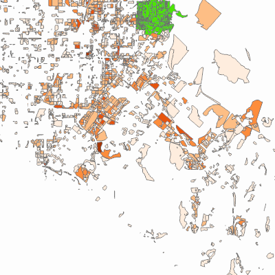 Export Image