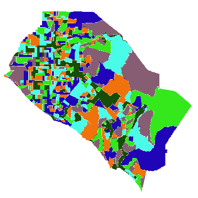 Export Image
